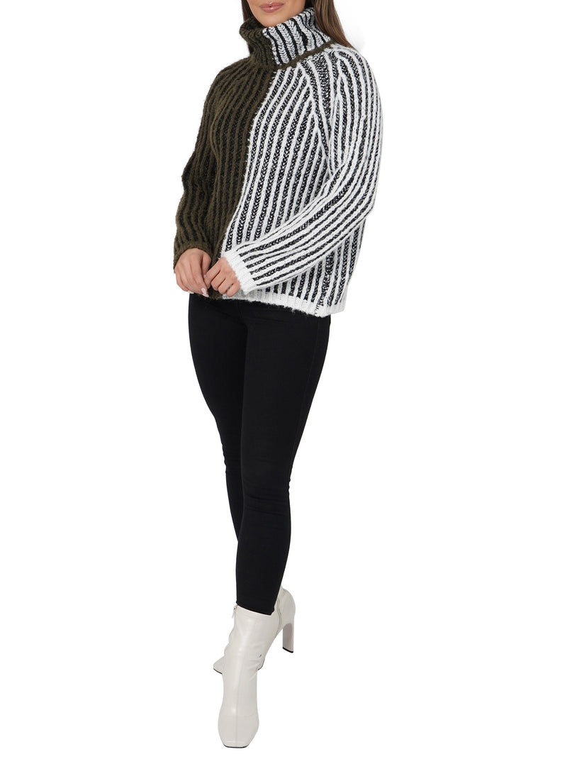 Aubrie Turtleneck Sweater-3
