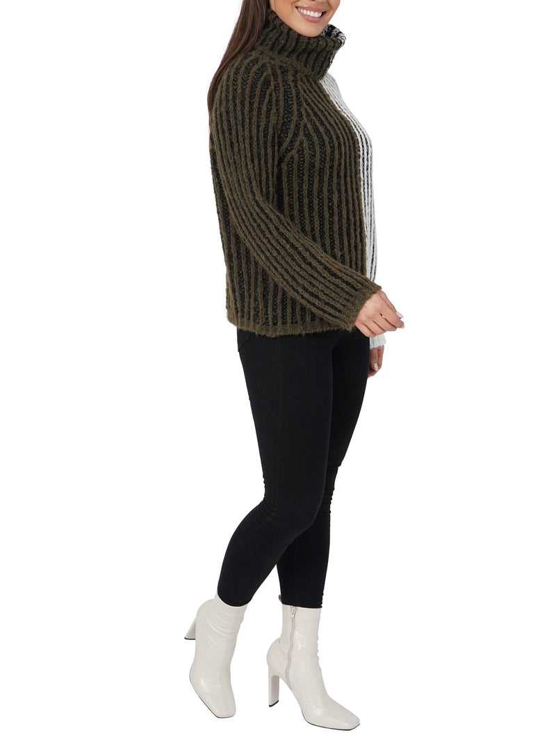 Aubrie Turtleneck Sweater-2